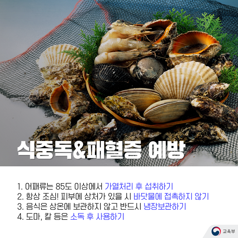 IMG_131212.png